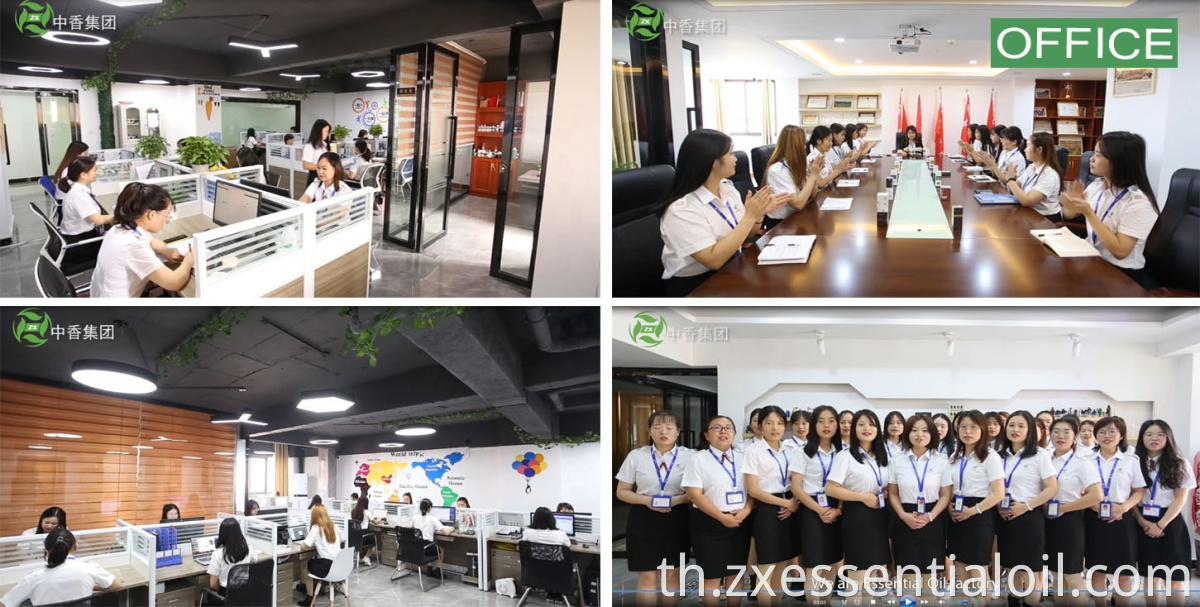 โรงงานซัพพลายธรรมชาติบริสุทธิ์ขายส่ง CAS 4871-97-0 น้ำมันขมิ้น Zedoary น้ำมัน Ezhu ที่มียอดขายสูงสุด